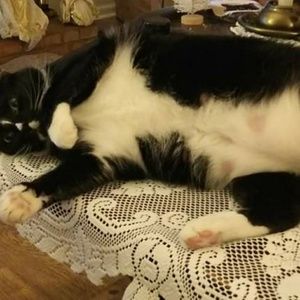 Meet your Posher, Vickie